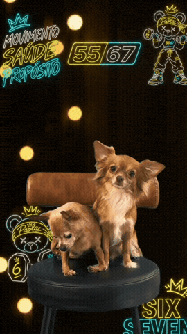 5567 GIF by Paola Machado