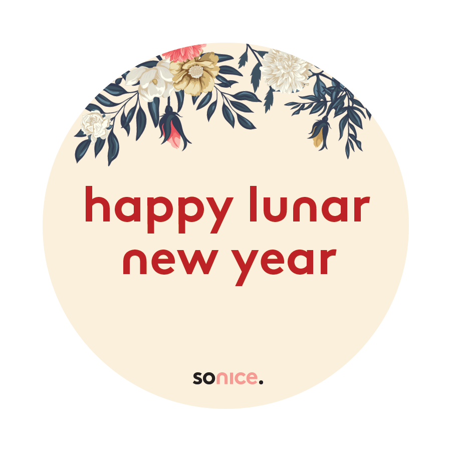 Sonicevietnam Sticker by sonice