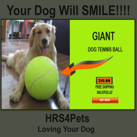 HRS dog toys dog tennis ball dog giant tennis ball GIF