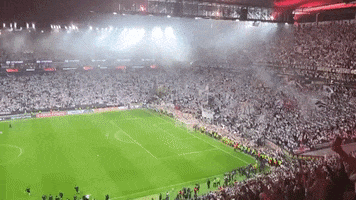 Germany Fans GIF by Storyful