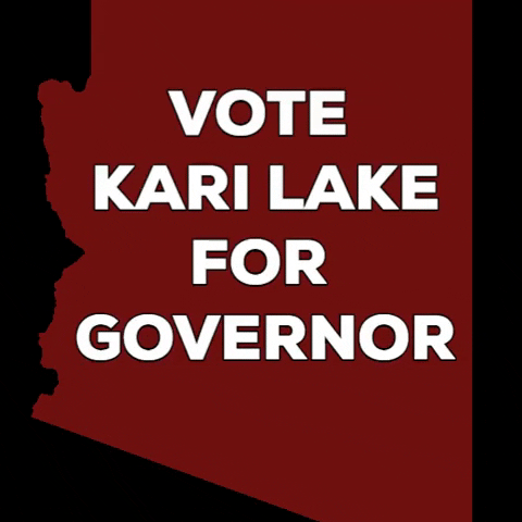 Kari Lake For Governor GIF
