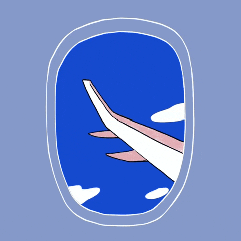 Airplane Flying GIF