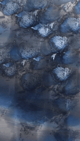 GIF by OAPEZE OFFICIAL COLLECTIBLES