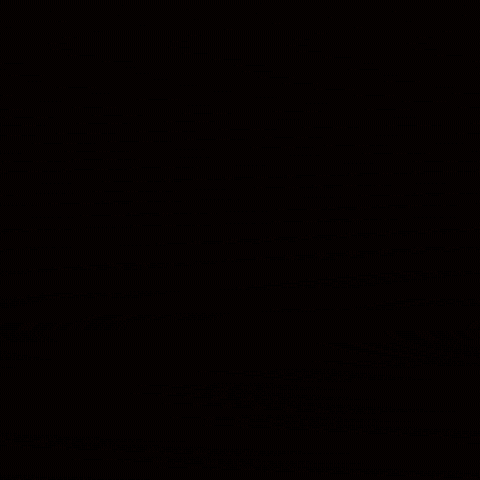 GIF by Lafayette Leopards