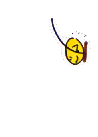 Carnet Sticker