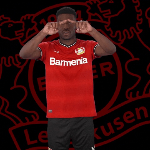 Soccer Werkself GIF by Bayer 04 Leverkusen
