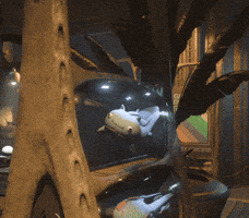 Whale Francis GIF by Star Citizen