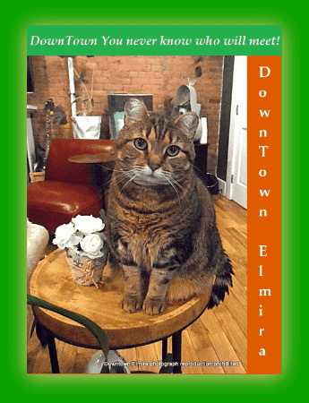 St Pats In Downtown Elmira Ny GIF