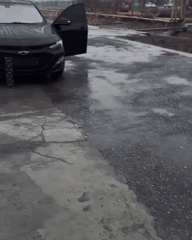 Malibu GIF