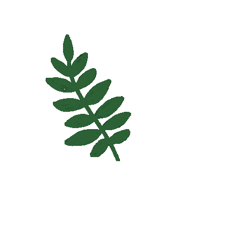 Nature Sticker