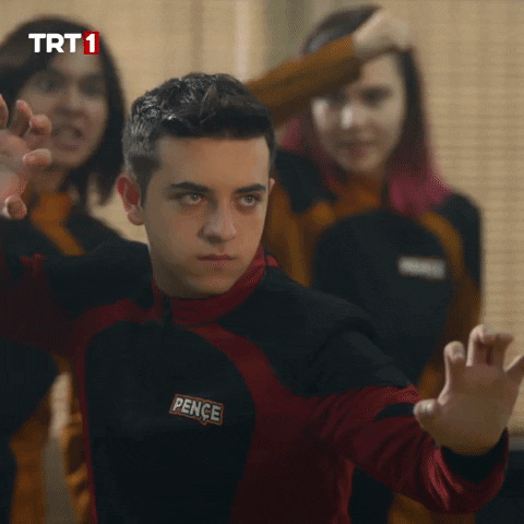 Fight Fighting GIF by TRT