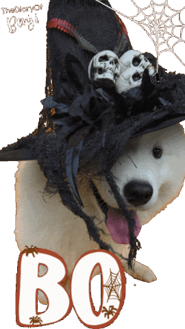 Dog Halloween Sticker