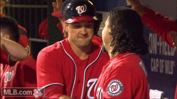 washington nationals hug GIF by MLB