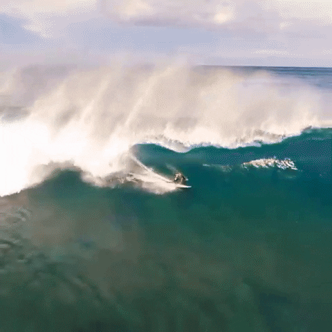 favekania beach surfing GIF