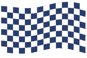Flag Race Sticker