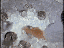 Mtv Beer GIF