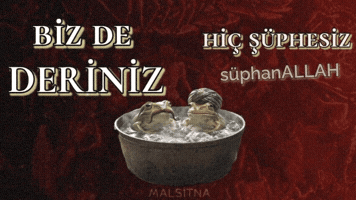 Akp Evrim GIF
