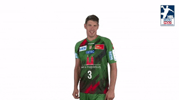 Happy Handball-Bundesliga GIF by LIQUI MOLY HBL