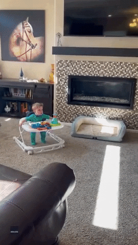 Kids Dogs GIF by Storyful
