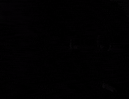 Azumanga Daioh Stare GIF