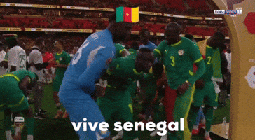African Senegal GIF