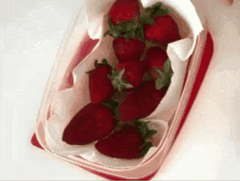 GIF by Mini-Farm Grow Kits