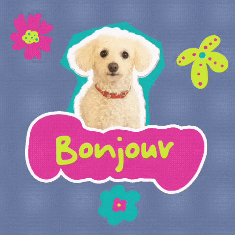 Good Morning Hello GIF