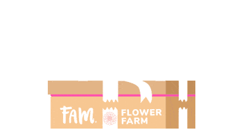 Post Flowers Sticker by Fam Flower Farm