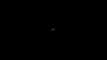 HP Contabilidade GIF