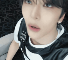 Xinlong GIF