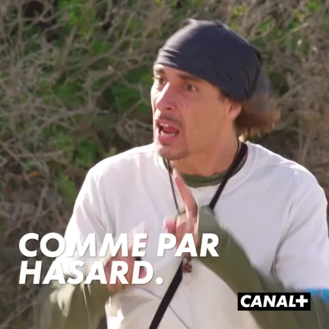 Fun Lol GIF by CANAL+