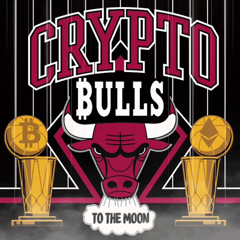 Chicago Bulls Bitcoin GIF