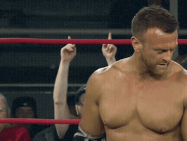 National Treasure Wrestling GIF