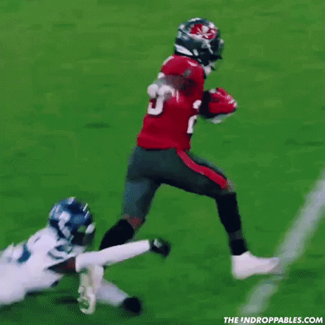 Tampa Bay Nfl GIF by The Undroppables