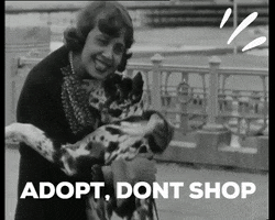 Adopt GIF