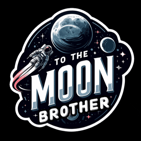 BrotherCoin space moon astronaut brother GIF