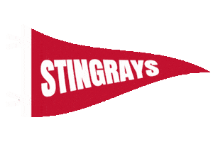 Echl Lets Go Rays Sticker by SCStingrays