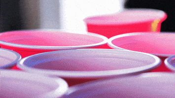 Beer Pong GIF by NewQuest