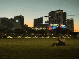 Tampa Bay City GIF by carla grace