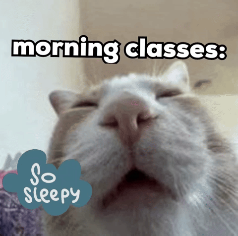 Morning Classes GIF