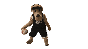 Basketbal academie Limburg Sticker