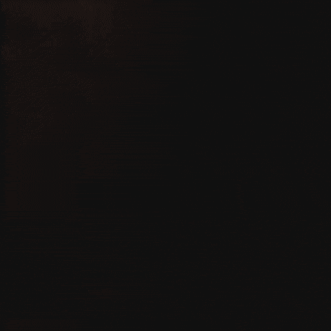 volksbank GIF