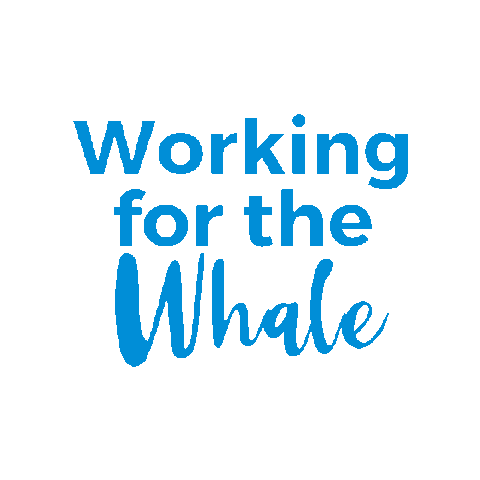 Working For The Whale Sticker by Life at Pacific Life