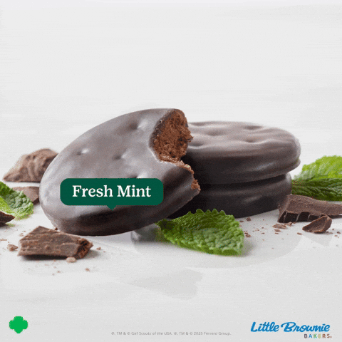 GIF by Little Brownie Bakers