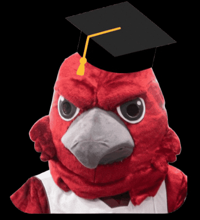 Commencement Hacc GIF by HACC, Central Pennsylvania's Community College