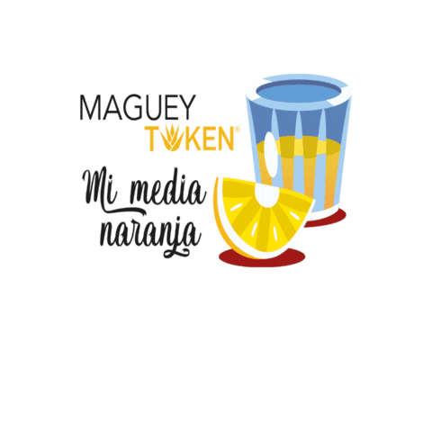 Mezcal Oaxaca Sticker by MagueyToken