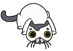 Cat Sticker