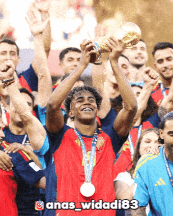 Fifa World Cup Argentina GIF