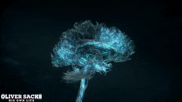 Oliver Sacks Brain GIF by Kino Lorber