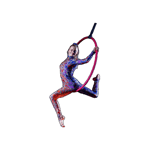 Circus Lyra Sticker by Ringling Bros. and Barnum & Bailey